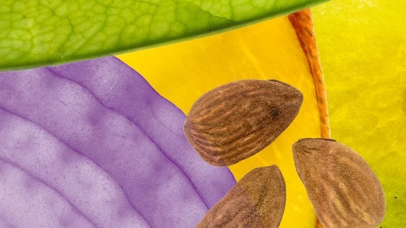 Metodología de Albarrio