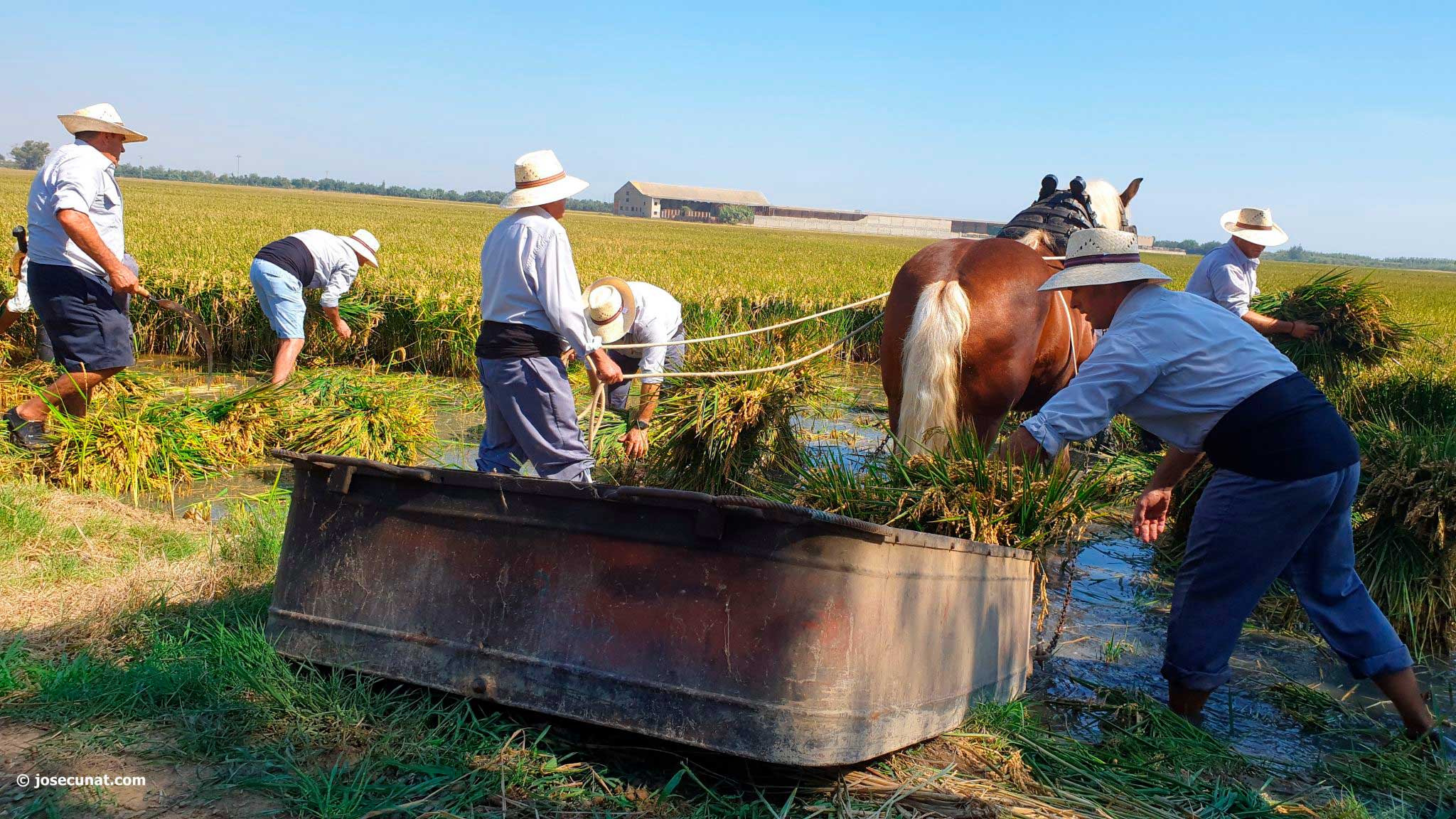 Agricultura familiar