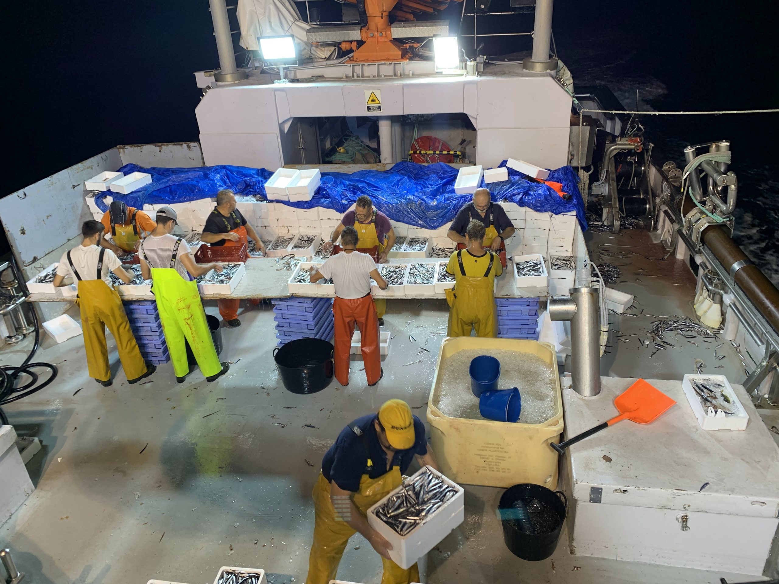 Modelo del dónut aplicado a la pesca de cerco