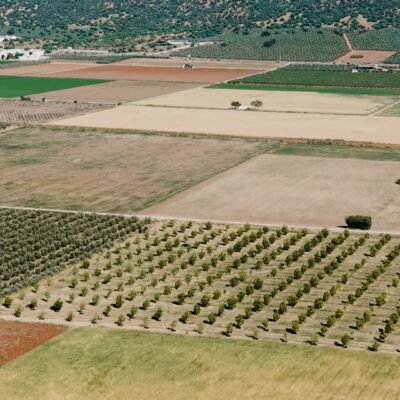 Diálogo sobre escenarios de futuro para la alimentación que queremos