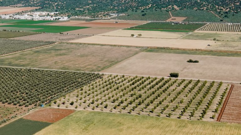 Diálogo sobre escenarios de futuro para la alimentación que queremos