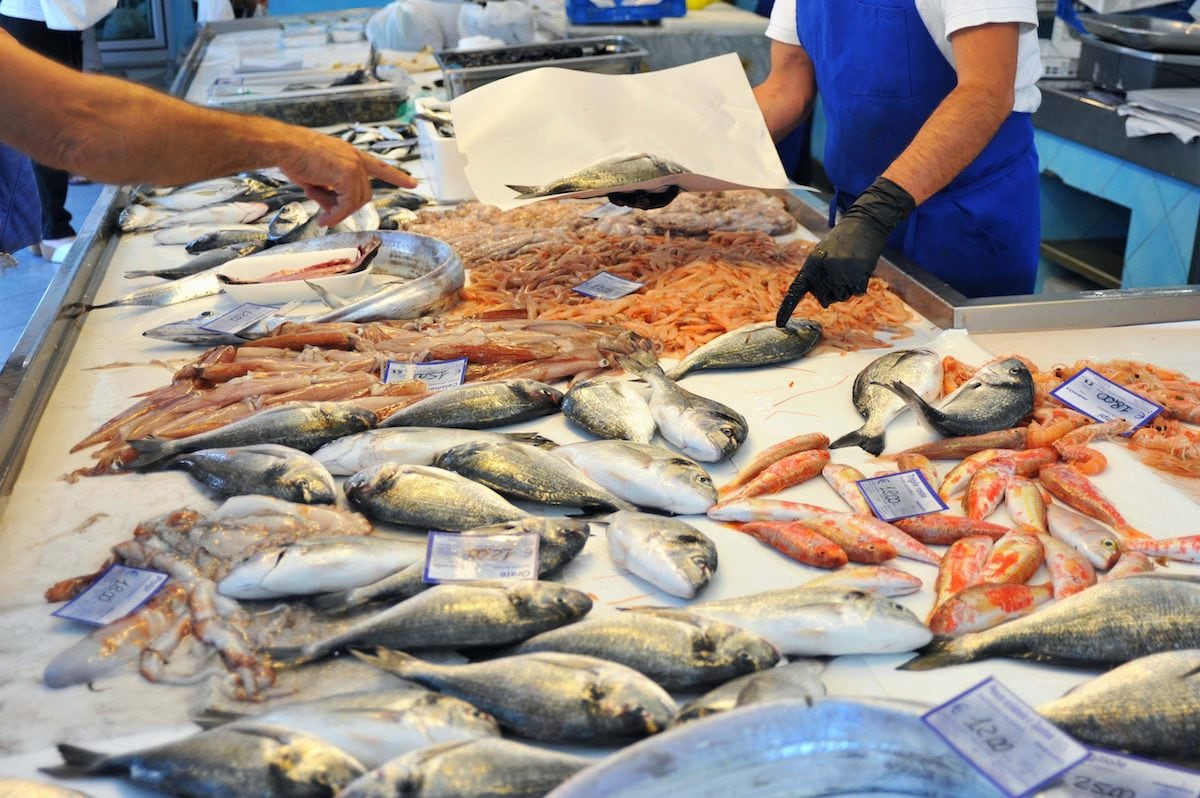 El pescado en la dieta