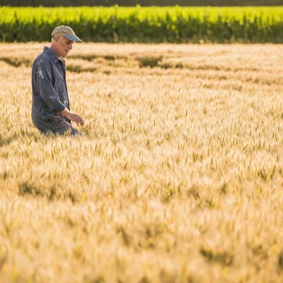 Soluciones al relevo generacional en el campo y el mar