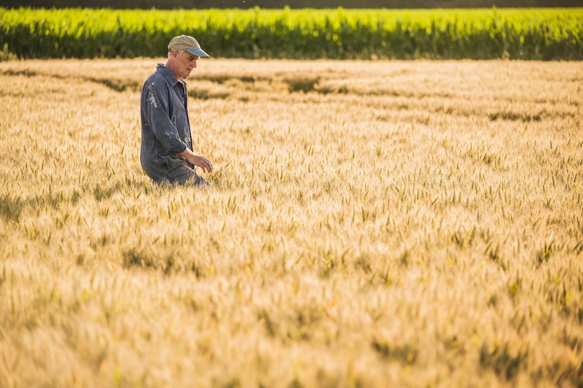 Soluciones al relevo generacional en el campo y el mar