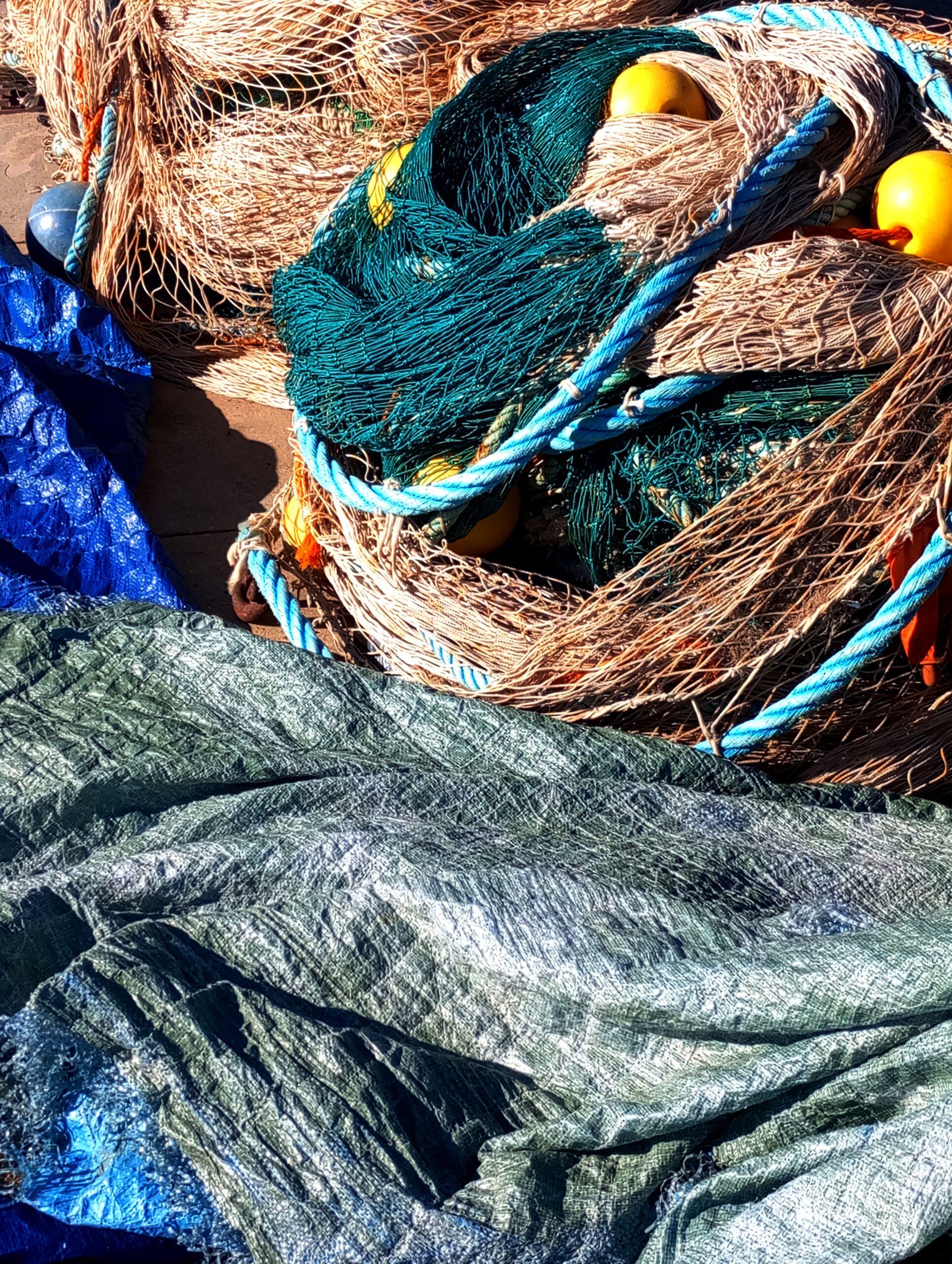 Adhesiones al Manifiesto por una Pesca Sostenible en España