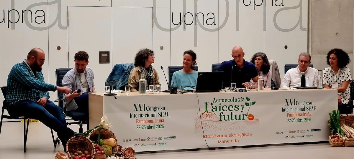 XVI Congreso de la SEAE