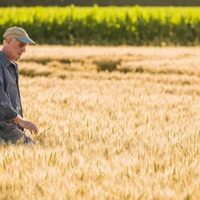 Conocimiento ecológico tradicional.