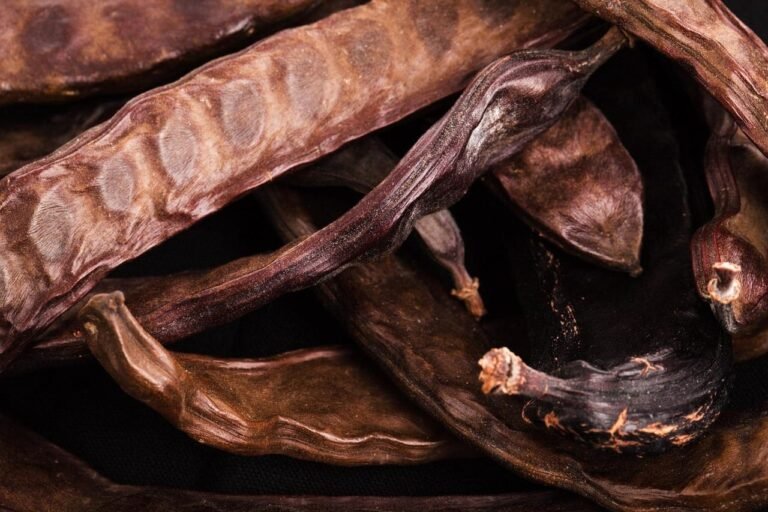 CropCat: impulsando cultivos menores para transformar el sistema alimentario europeo