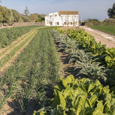 Compra pública de alimentaria responsable